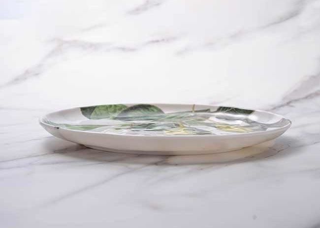 SGS Certificated BPA Free Coloured Melamine Plates